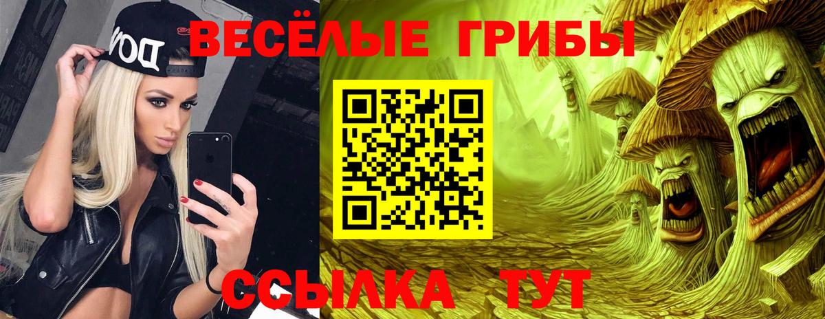 Галлюциногенные грибы Psilocybine cubensis  продажа наркотиков  Горячий Ключ  Псилоцибиновые грибы мицелий  Вход с VPN 
